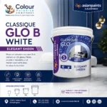 Asian Paints Causeway Classique Glo Brilliant White - Image 2